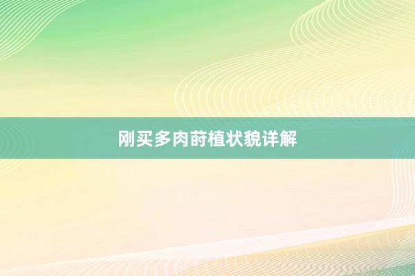 刚买多肉莳植状貌详解